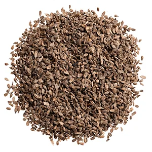 Cassia Tora Seeds